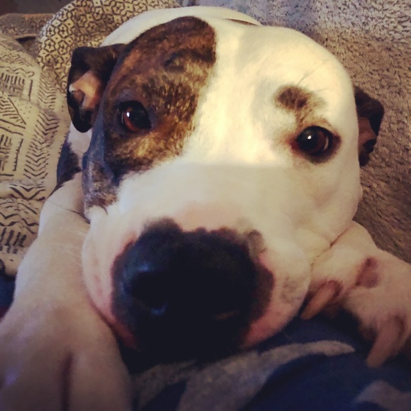 Meet your Posh Ambassador, Suzanne & Emmy 🌺 - Picture 2 of 7